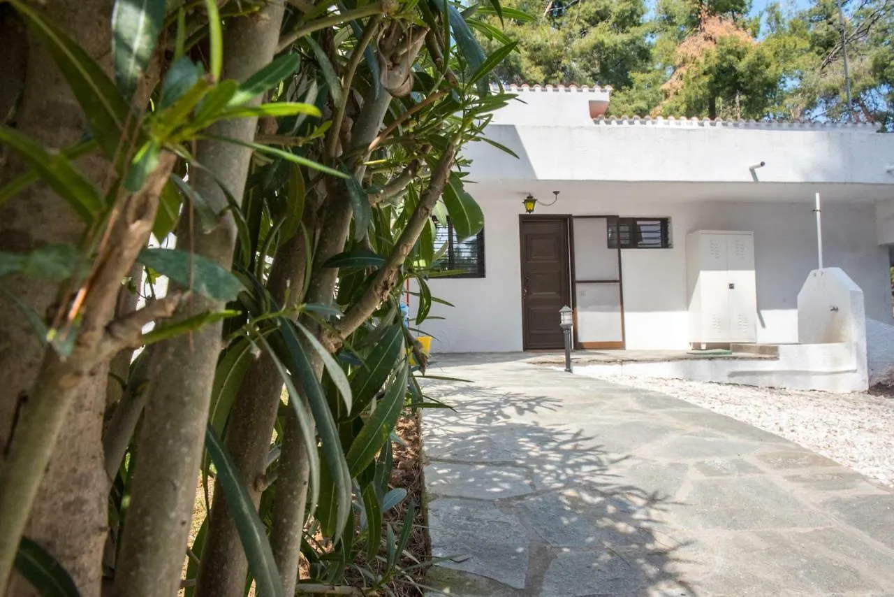 Evergreen Villa In Sani Woodland Estate  Sani (Chalkidiki)